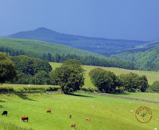 Scottish Borders Rubers Law 9R067D-09.JPG